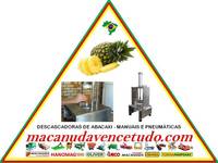 MACANUDA, A MARCA DA MÁQUINA! DESCASCADORA DE ABACAXI EM JATAÍ GO