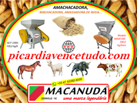 MÁQUINA MACANUDA !! AMACHACADORA DE AVEIA PRA TODO RIO GRANDE DO SUL