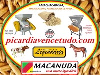 MÁQUINA MACANUDA DE AMASSAR AVEIA E OUTROS GRÃOS, NO ESTADO DE GOIÁS