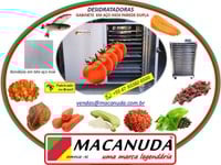 DESIDRATAR TOMATE E OUTRAS HORTALIÇAS, EQUIPAMENTOS PROFISSIONAIS 