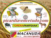 PICARDIAVENCETUDO.COM, TORENA PAMPEANA EM TUPANCIRETÃ RS