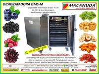 CHIPS DE MORANGO DESIDRATADO, EQUIPAMENTOS INDUSTRIAIS MACANUDA