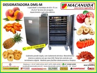 DESIDRATAÇÃO DE PÊSSEGO, EQUIPAMENTO EM AÇO INOX MACANUDA