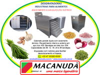 CEBOLINHA VERDE DESIDRATADA, EQUIPAMENTOS INDUSTRIAIS MACANUDA