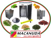 OREGANO DESIDRATADO, EQUIPAMENTOS INDUSTRIAIS MACANUDA OREGANO DESIDRATADO, EQUIPAMENTOS INDUSTRIAIS MACANUDA
