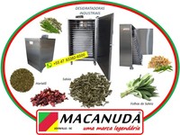 SALVIA DESIDRATADA, EQUIPAMENOS PROFISSIONAIS MACANUDA SALVIA DESIDRATADA, EQUIPAMENOS PROFISSIONAIS MACANUDA