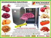BETERRABA DESIDRATADA, EQUIPAMENTOS INDUSTRIAIS MACANUDA