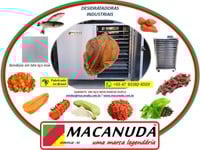 MACANUDA, FÁBRICA DE DESIDRATADOR INDUSTRIAL DE ORELHA DE PORCO