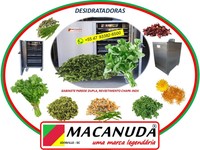 COENTRO DESIDRATADO, MÁQUINAS INDUSTRIAIS MACANUDA