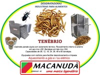 TENÉBRIO GIGANTE DESIDRATADO, EQUIPAMENTOS PROFISSIONAIS MACANUDA
