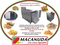 DESIDRATAR GENGIBRE | DESIDRATADORAS INDUSTRIAIS MACANUDA